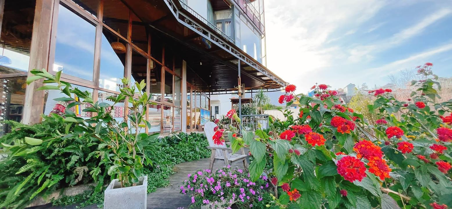 Homestay Hoàng Hoa Thám Đà Lạt 290m² giá 20 tỷ - View rừng thông 360° tuyệt đẹp!