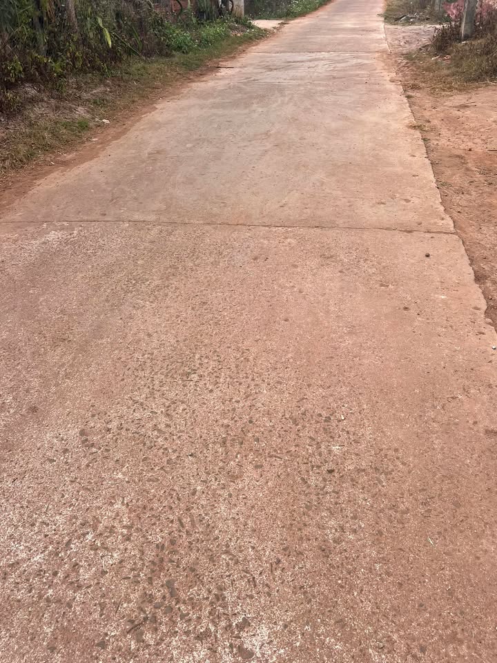 Đất nền Đắk Môn 717m² giá 2 tỷ - Đầu tư sinh lời ngay hôm nay!