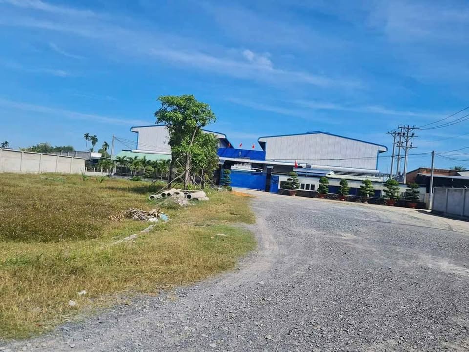 Lô đất thổ cư 100m² tại Xã Mỹ Hạnh - Giá 850 triệu, sổ hồng riêng!