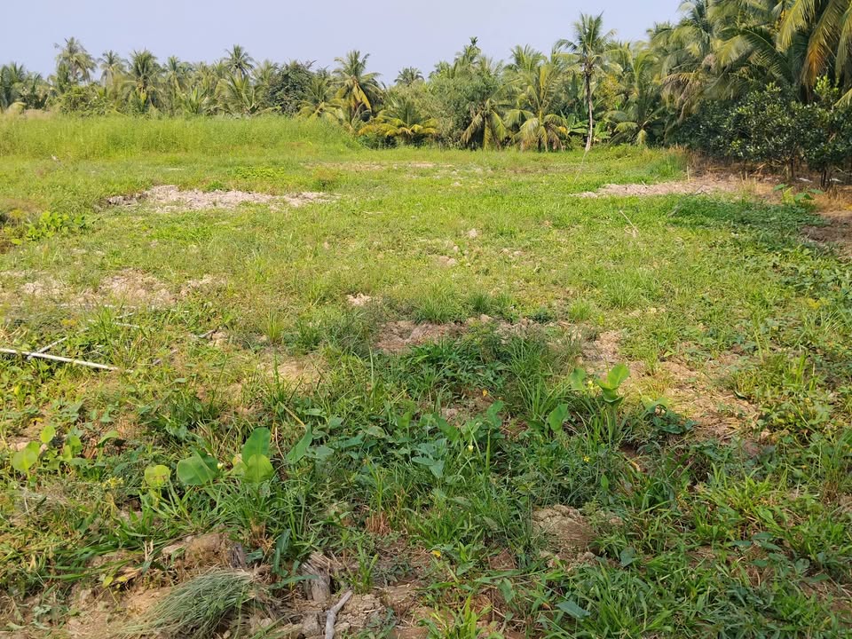 Đất nền xã Tân Long Hội 896m² giá 340 triệu - Pháp lý rõ ràng, sẵn sàng xây dựng!