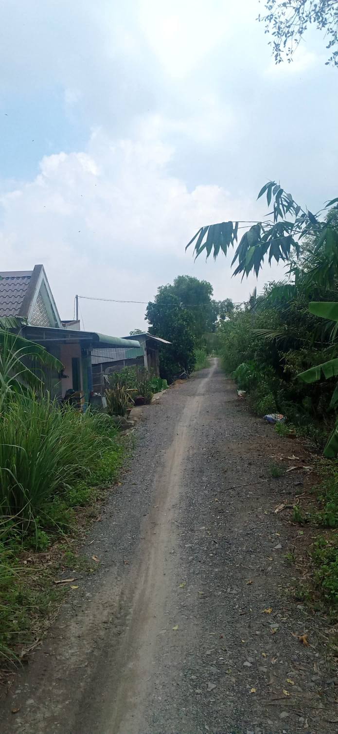 Đất vườn 5335m² tại ấp 10 Lương Hòa, Bến Lức - Giá 7.5 tỷ, cơ hội đầu tư hiếm có!