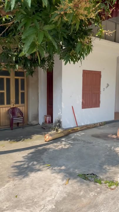 Đất nền thôn 9, xã Quảng Chính, 228m² giá thỏa thuận - Vị trí đắc địa, dịch vụ tiện lợi!