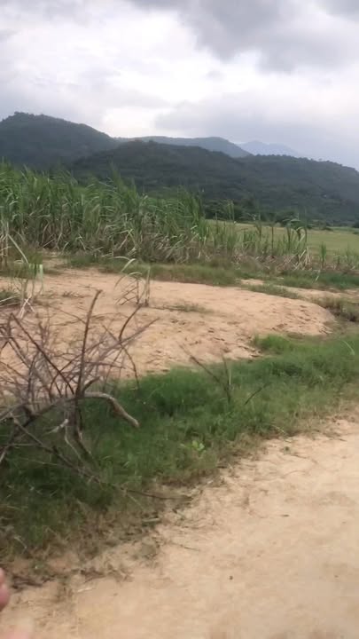 Đất nền Cam Phước Tây 5.6ha giá 5.6 tỷ - Cơ hội đầu tư hấp dẫn!