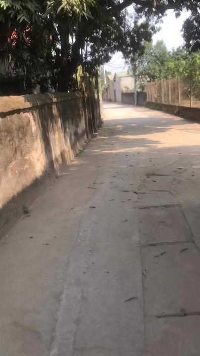 Nhà phố Tiền Lệ Hoài Đức 50m² - Thiết kế hiện đại, sẵn sàng vào ở!