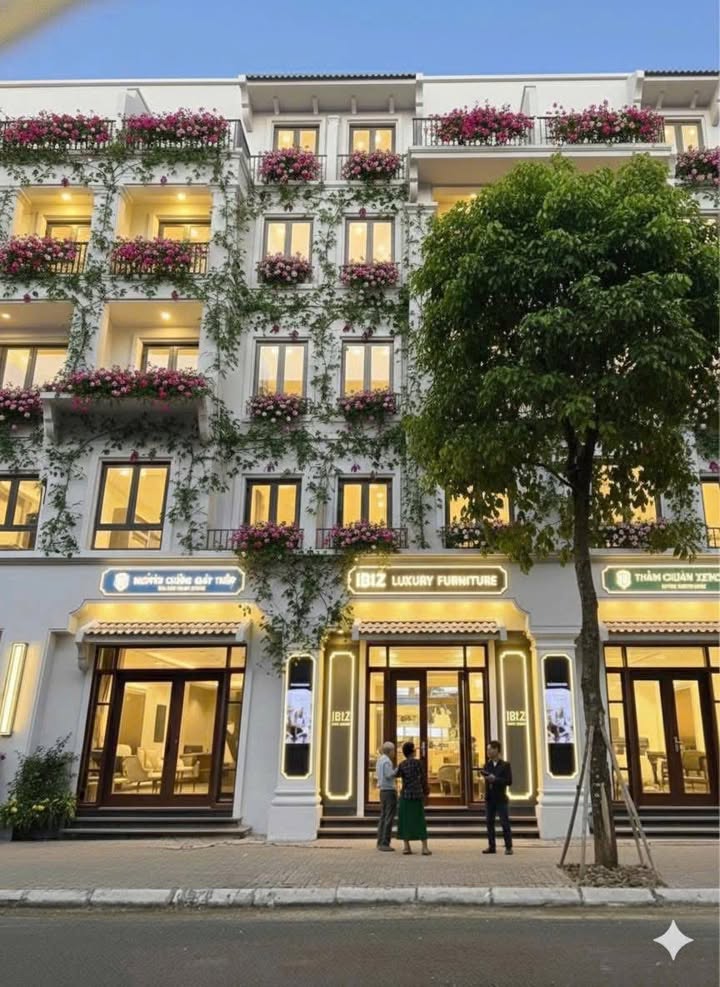 Shophouse Ánh Dương Cổ Loa 63m² giá 18.5 tỷ - Đầu tư sinh lời hấp dẫn!