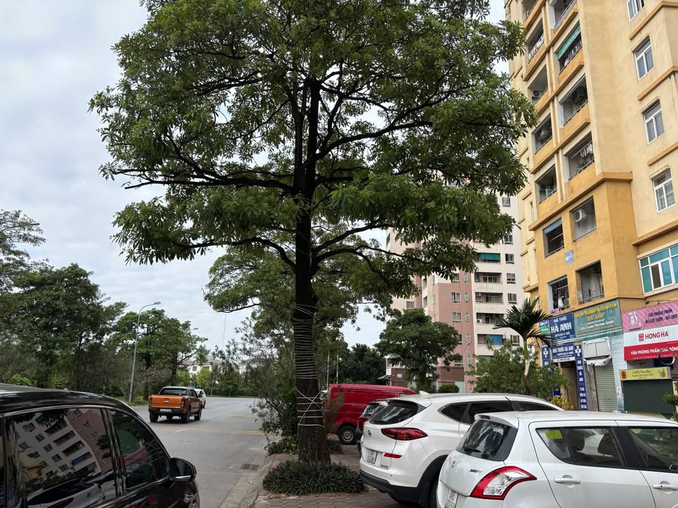 Căn hộ Khu N017-1 Long Biên 96.5m² giá 6.6 tỷ - Sẵn sàng vào ở đón Tết!