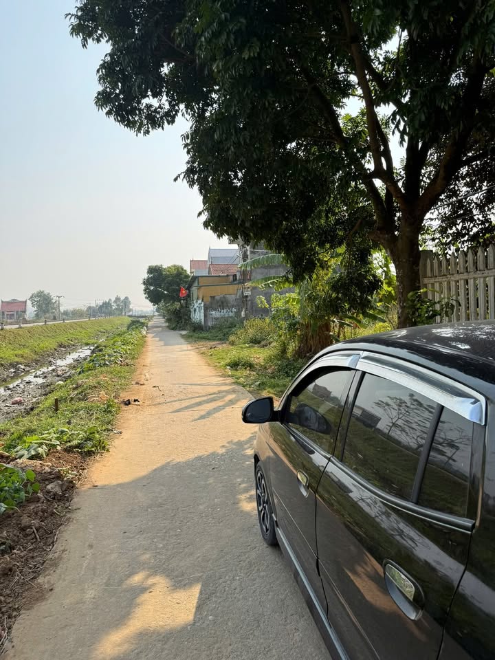 Bán đất TDP Mai Hạ, Bắc Ninh 134m² - Đầu tư sinh lời lý tưởng!