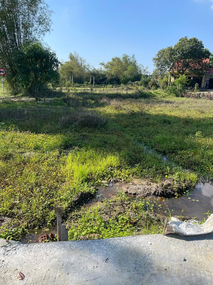 Đất Hòa Quý 90m² giá 2 tỷ - Đường ô tô, gần cao đẳng nghề