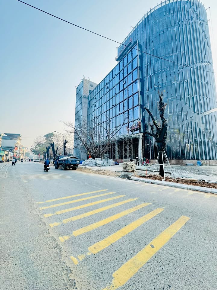 Đất nền Lý Sơn, Thượng Thanh, Long Biên 50m² - Giá chỉ 8.X tỷ, thương lượng mạnh!