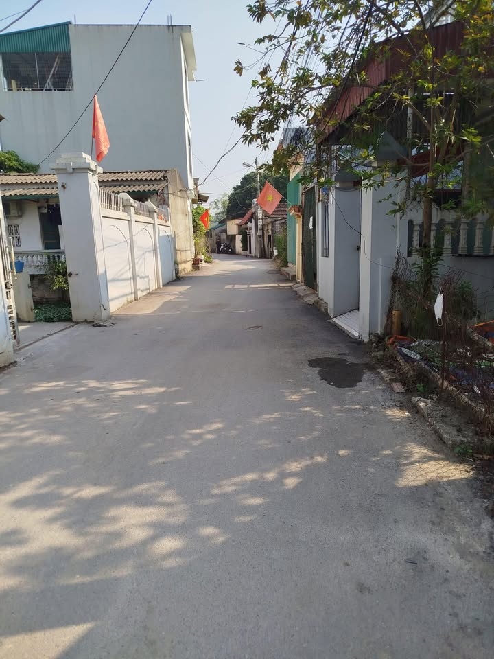 Bán lô đất 3 mặt tiền Ngõ Xuân Thành, Ninh Nhất 49.5m² giá 2 tỷ - Cơ hội đầu tư hấp dẫn!