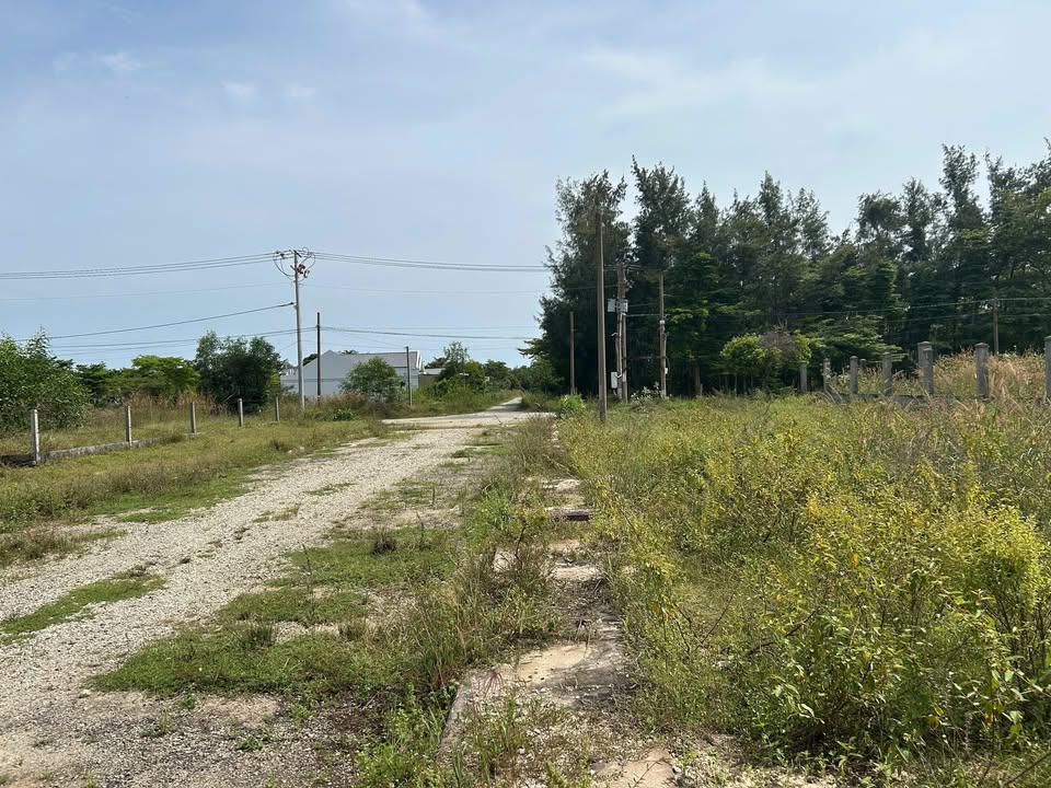 FrontHouse mặt tiền đường B, xã Tân Bình, 150m² giá 1.35 tỷ - Cơ hội đầu tư tuyệt vời!