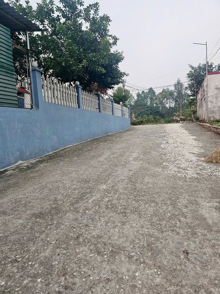 Đất thổ cư 93m² tại Thanh Đình, Việt Trì - Đầu tư sinh lời ngay!