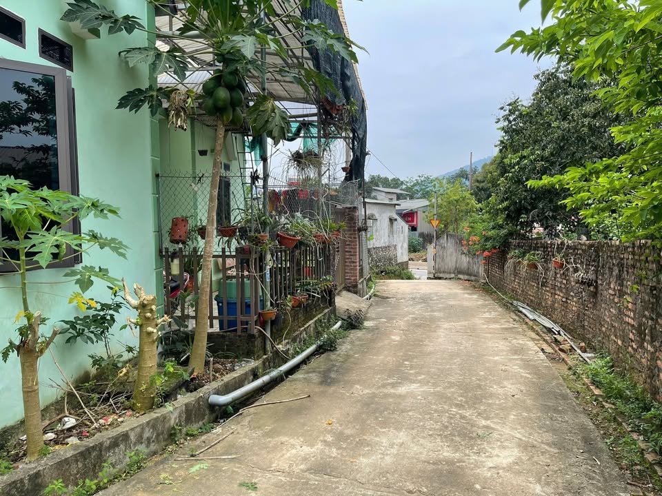 Đất mặt tiền 10m tại Dân Chủ, Hòa Bình 200m² chỉ 1 tỷ - Cơ hội đầu tư hấp dẫn!