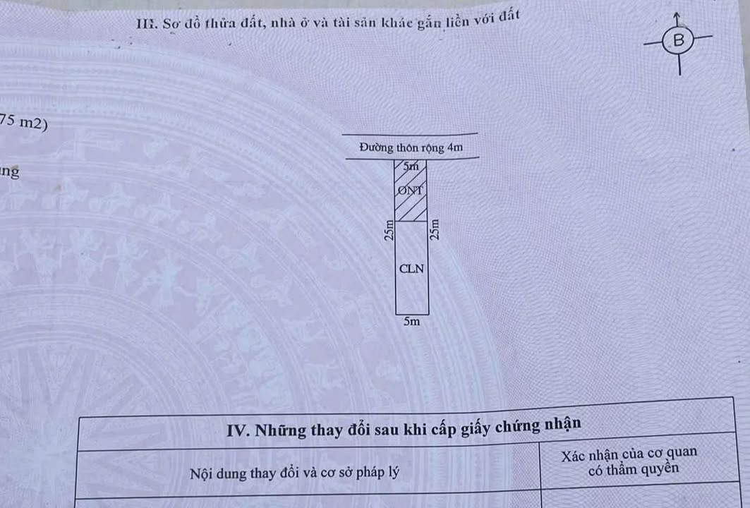 Đất nền liền kề 79 Đồng Đá, Thanh Hóa 125m² - Giá chỉ 1.38 tỷ, vị trí đắc địa!