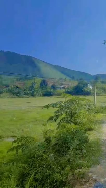 Đất Yên Lập Phú Thọ 1ha giá nhỉnh 1 tỷ - Nền đất đẹp, ô tô vào tận nơi!