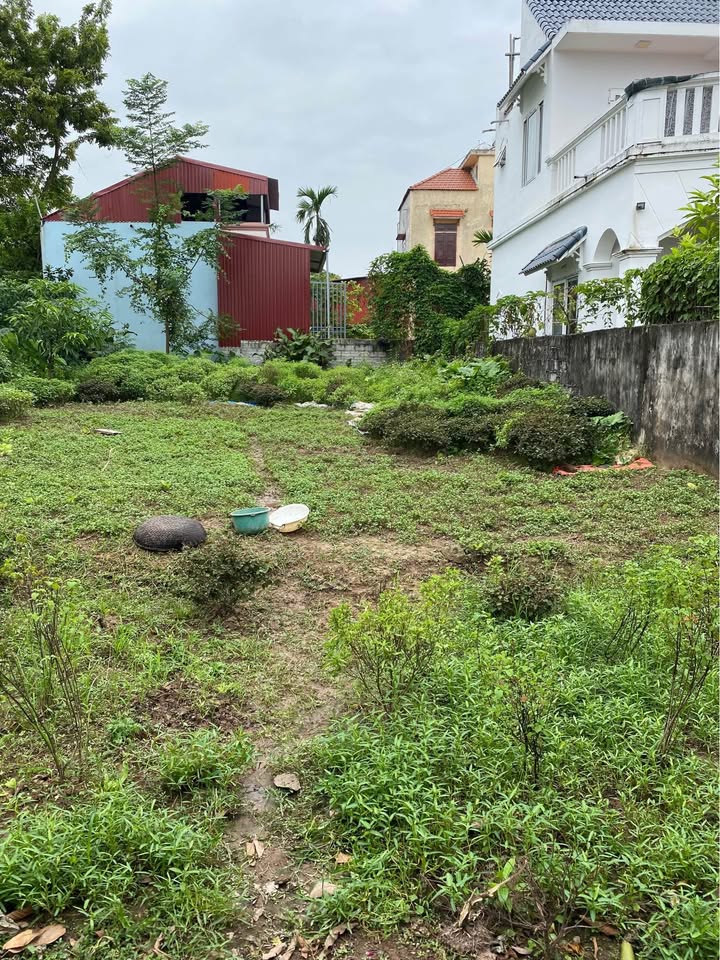 Đất nền khu công nghiệp Châu Giang, Duy Tiên, 101m² - Đầu tư sinh lời ngay!