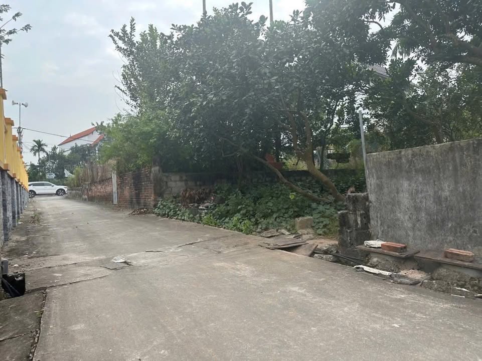 Đất nền Xuân Cầu 240m² giá thỏa thuận - Mặt tiền 8m, vị trí đắc địa!