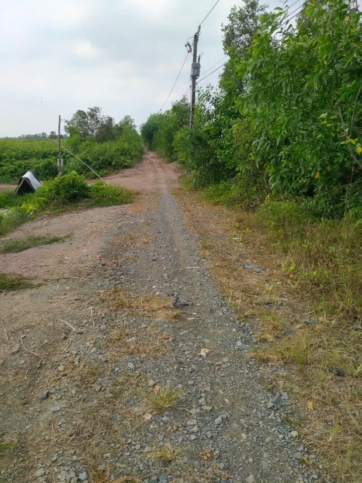 Lô đất góc 2 mặt tiền xã Thường Phước 1, Đồng Tháp 31.000m² - Giá chỉ 10.24 tỷ!