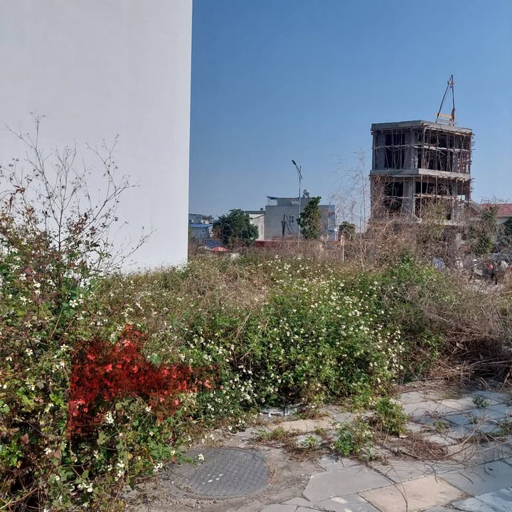 Đất TĐC Đồng Xá, Hải An, Hải Phòng 40.5m² giá 3.44 tỷ - Sổ đỏ chính chủ, vị trí đẹp!