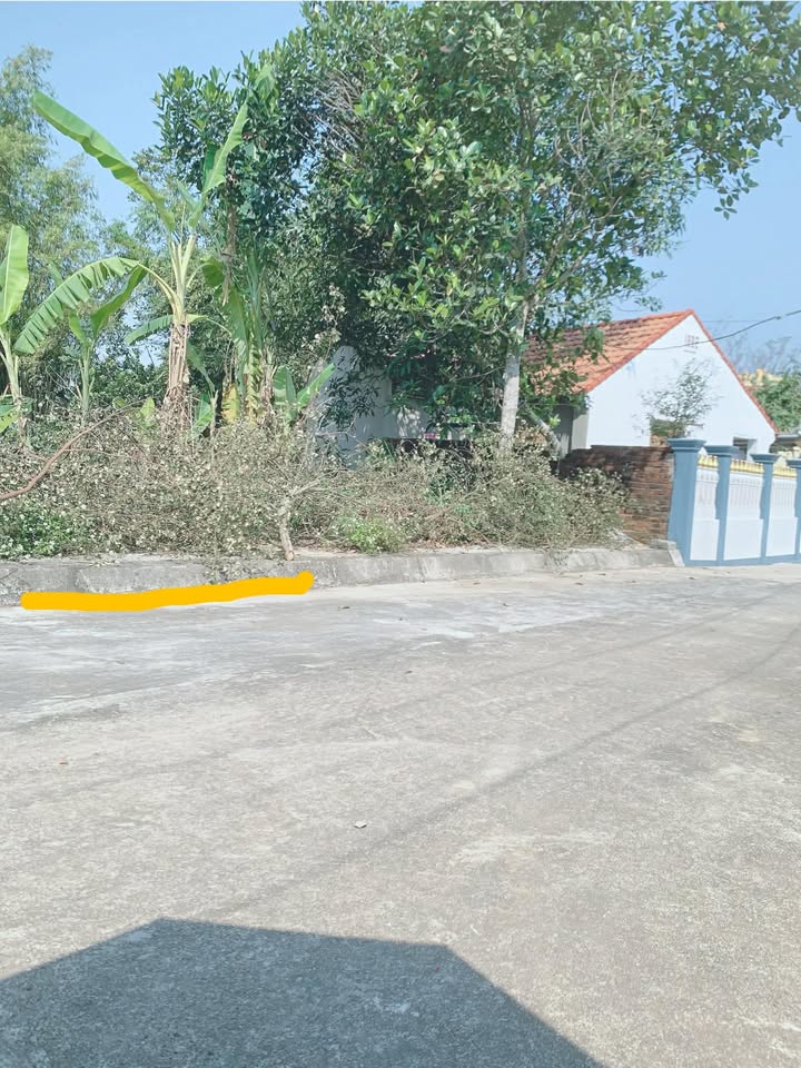 Đất thổ cư Nhật Nội, Triệu Sơn 111m² chỉ 500 triệu - Cơ hội đầu tư không thể bỏ lỡ!