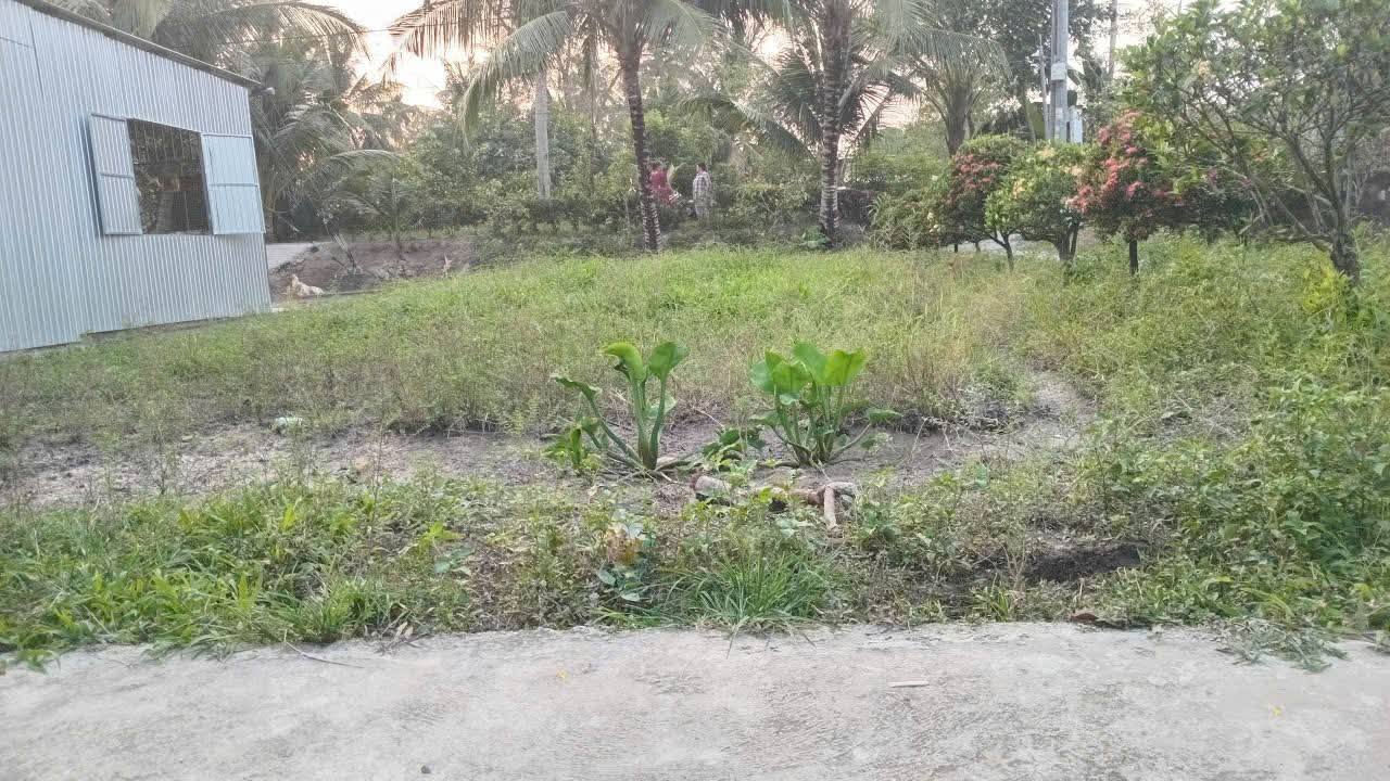 Đất thổ 40m² tại Xã Long An, Huyện Long Hồ - Chỉ 260 triệu!