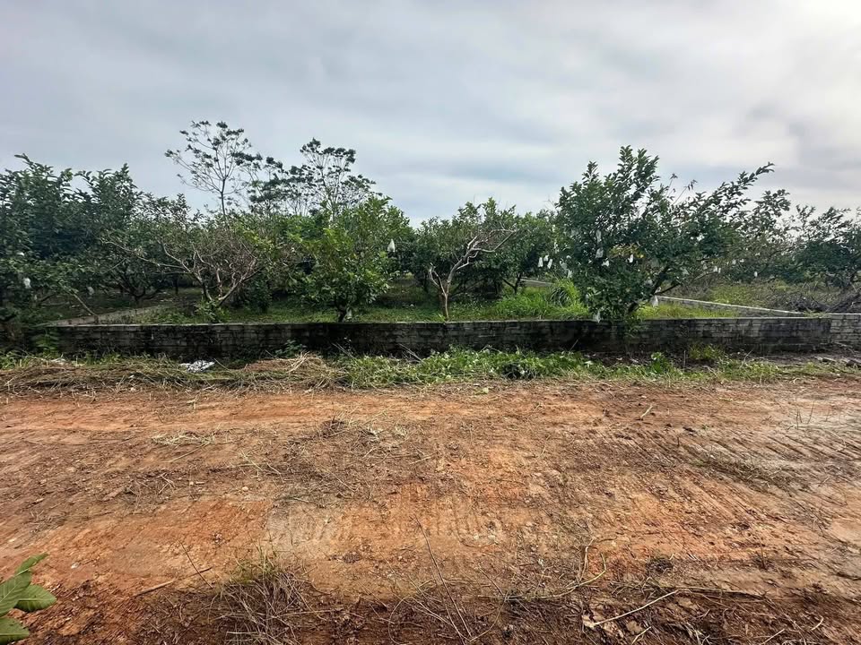 Đất vườn Sài Sơn, Quốc Oai 288m² giá chỉ 864 triệu - Cơ hội đầu tư hấp dẫn!