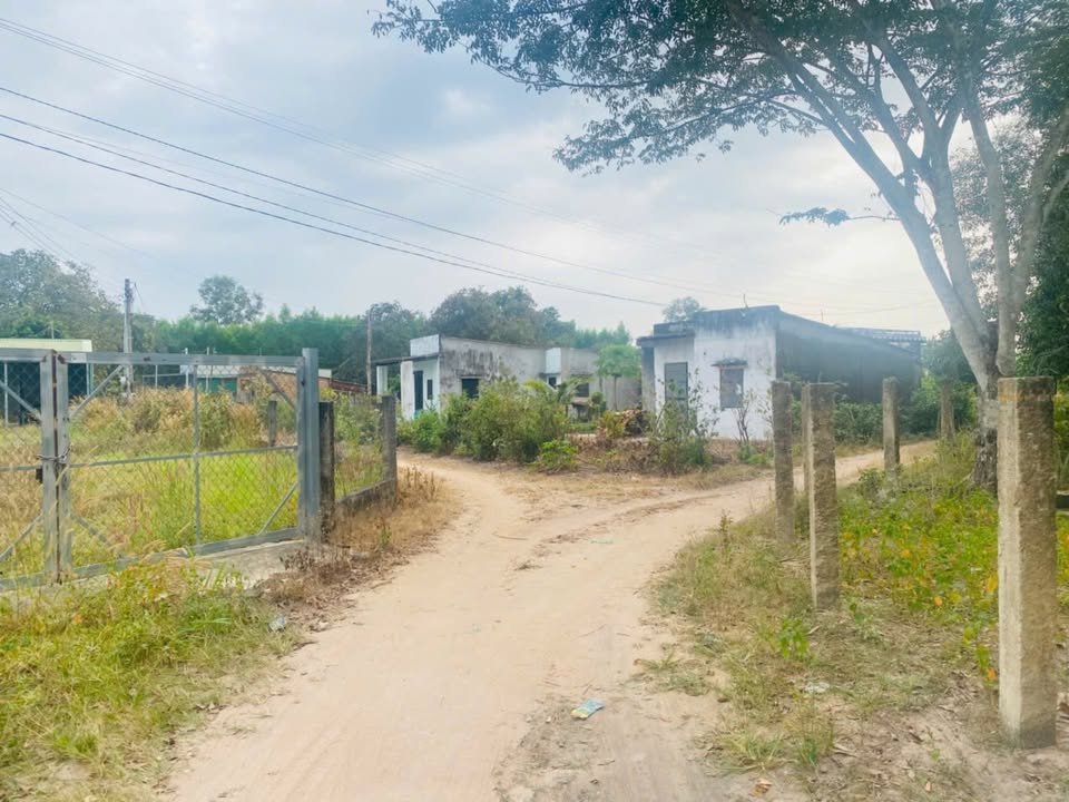 Đất thổ cư vườn 1006m² tại Đá Mài 2, Tân Xuân - Giá chỉ 1 tỷ, đầu tư sinh lời!