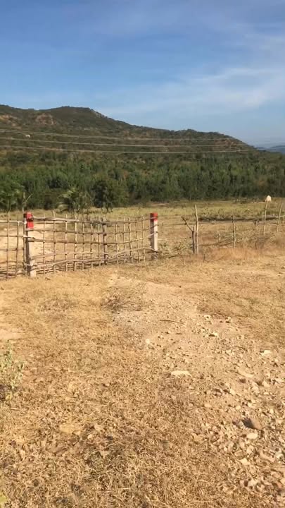 Đất sào tại Quốc lộ 1A, Huyện Hàm Tân, 26000m² giá 5.2 tỷ - Đầu tư sinh lời cực tốt!