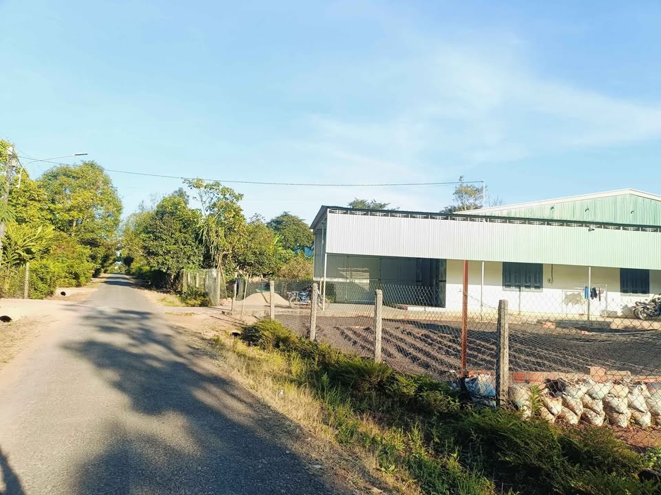 Mặt tiền Ỷ Lan, Biển Hồ, Pleiku 300m² giá 1 tỷ - Cơ hội đầu tư tuyệt vời!