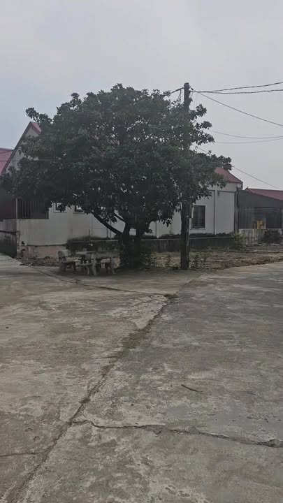 Đất ở Thôn Đông Văn, Kỳ Hoa 177m² giá 1.6 tỷ - Vị trí thuận lợi, sổ đỏ chính chủ!