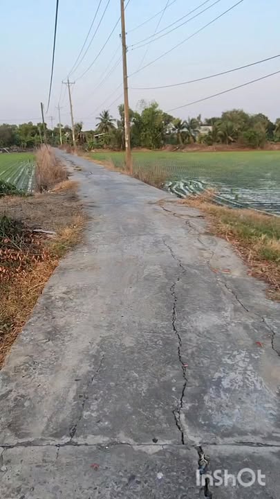 Đất nông nghiệp 3900m² Xã Bình Hiệp - Giá chỉ 8.97 tỷ - Thương lượng nhẹ!