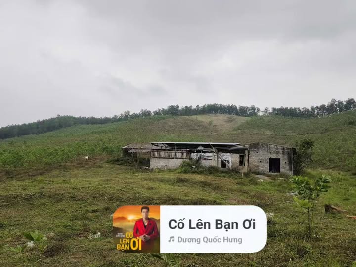 Đất đồi 5,9ha tại Khu Đồng Tâm, Hòa Bình - Giá tốt cho nhà đầu tư!