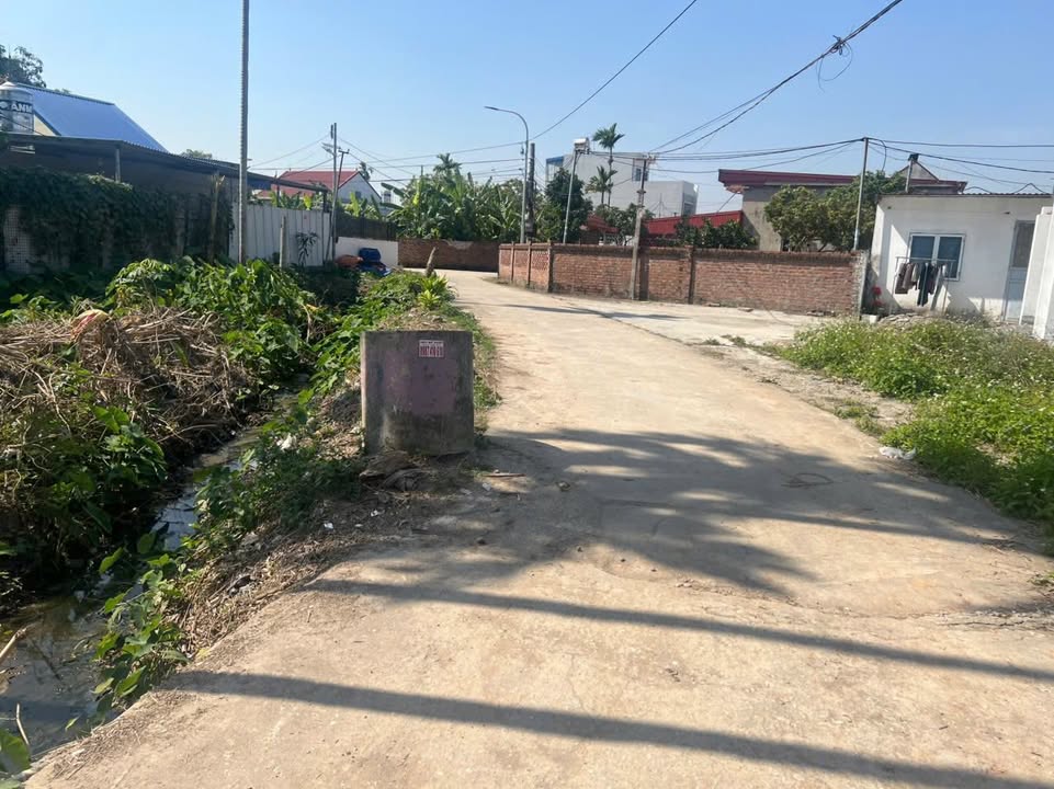 Lô đất đẹp An Lão Hải Phòng 68m² giá đầu tư chỉ 1.xxx - Sát KCN Tràng Duệ 3!