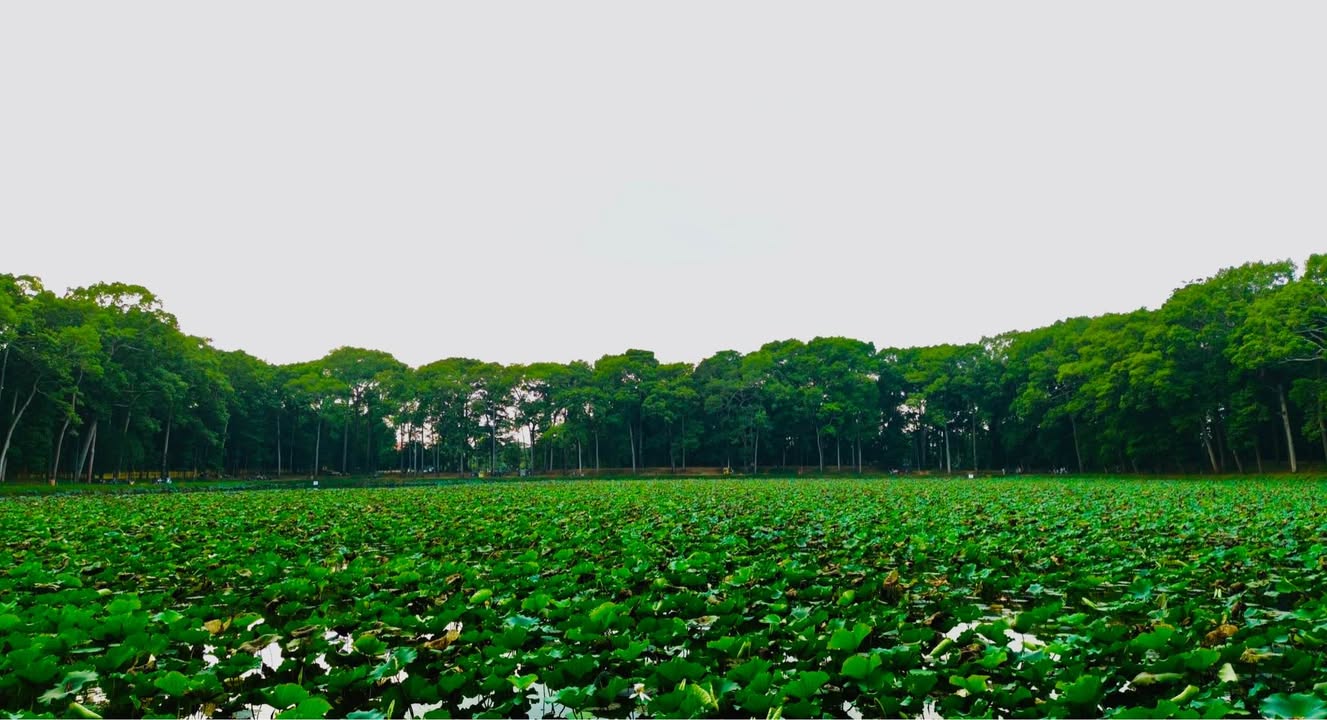 Nhà mặt tiền Điện Biên Phủ Trà Vinh 178m² giá 10 tỷ - Cơ hội đầu tư không thể bỏ lỡ!