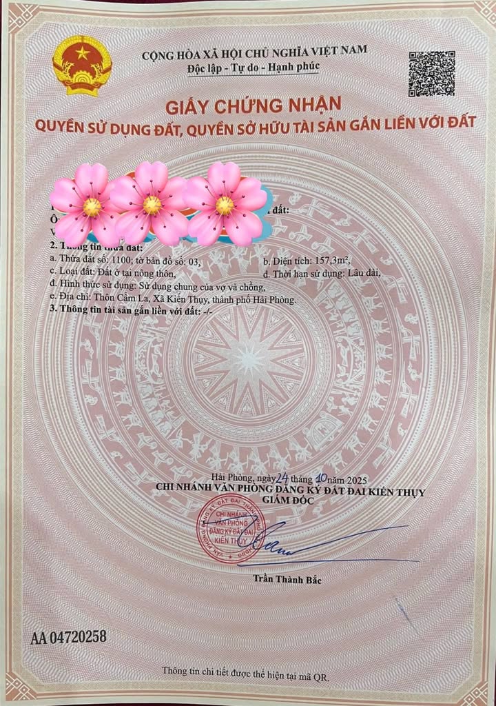 Đất nền đẹp tại Cẩm La, Kiến Thụy, Hải Phòng - Chỉ 1.2 tỷ!