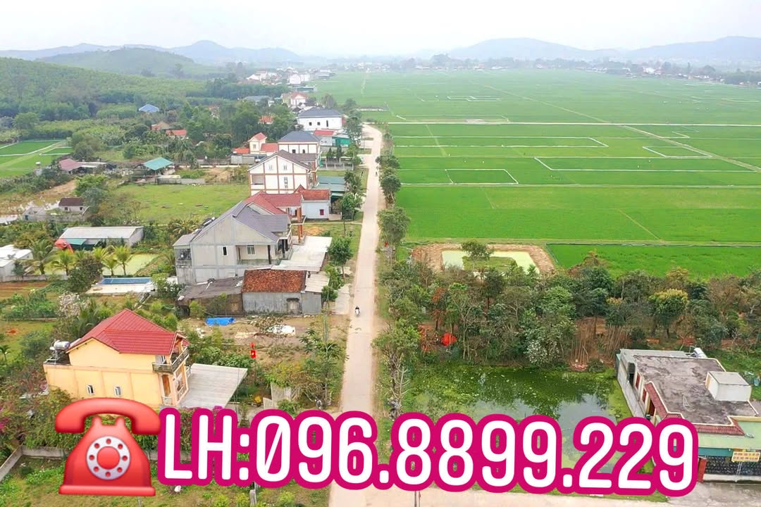 Đất nền kinh doanh mặt tiền đường huyện Yên Thành 200m² - Lô góc 2 mặt tiền hấp dẫn!