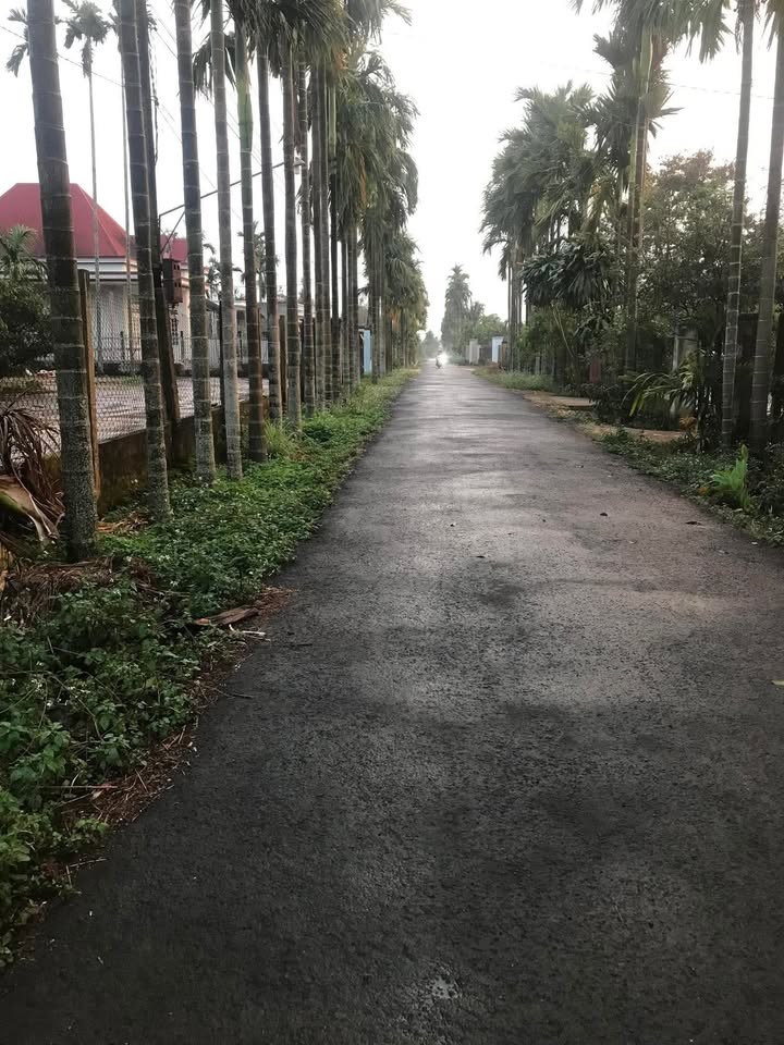 Đất thổ cư Thôn 8, Xã An Xuân, Huyện Tuy An 440m² giá 2.55 tỷ - Đầu tư sinh lời ngay!