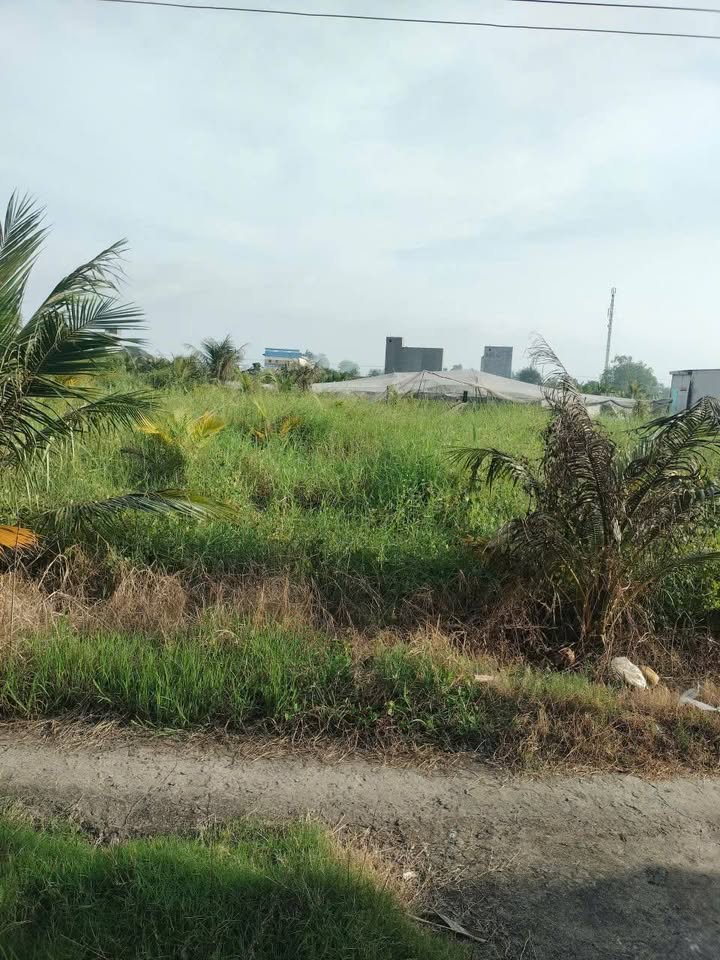 Đất 2 mặt tiền Mạc Văn Thành, Tân Đông, Gò Công Đông 884.13m² chỉ 550 triệu - Đầu tư sinh lời tuyệt vời!