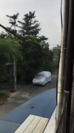 Phòng trọ khu dân cư Tân Đức, 16A1, 2.5 triệu - Tiện nghi đầy đủ, an ninh 24/24!