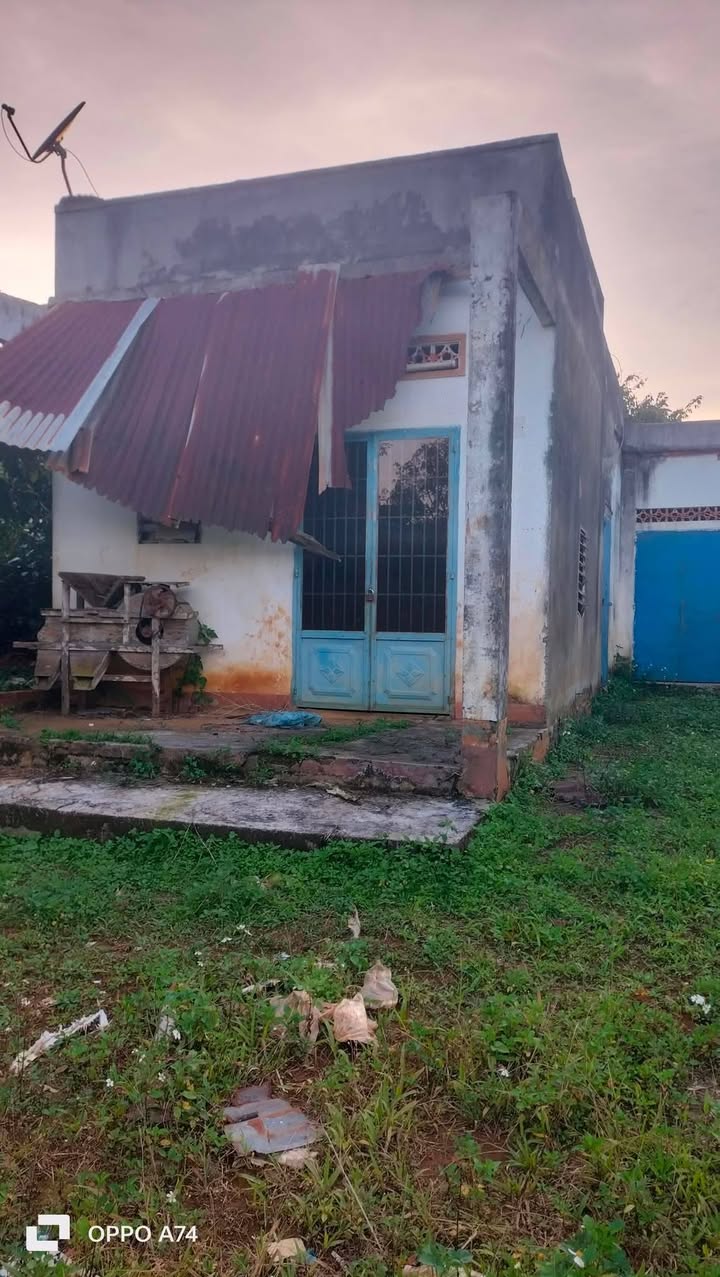 Đất thổ cư 3 sào Hòa Ninh Di Linh 2.2 tỷ - Mặt đường rộng 30m