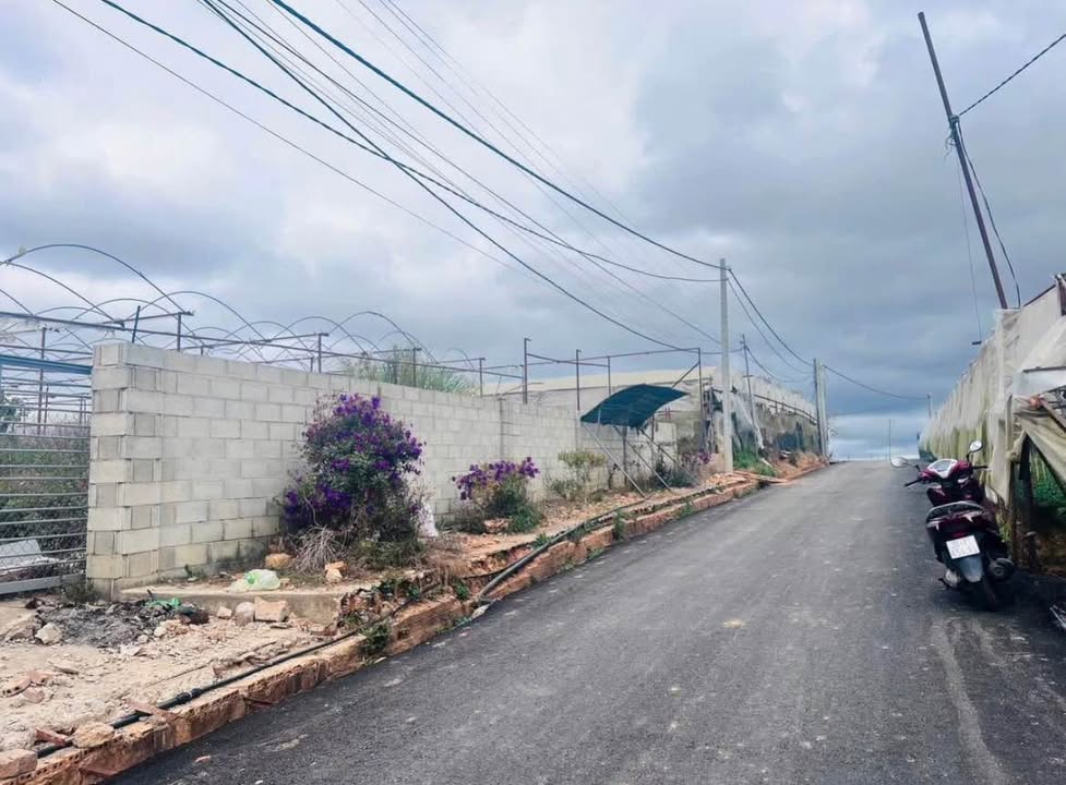 Đất nền mặt tiền đường nhựa 8m Phường 11 Đà Lạt 200m² giá 2.1 tỷ - Đầu tư sinh lời ngay!