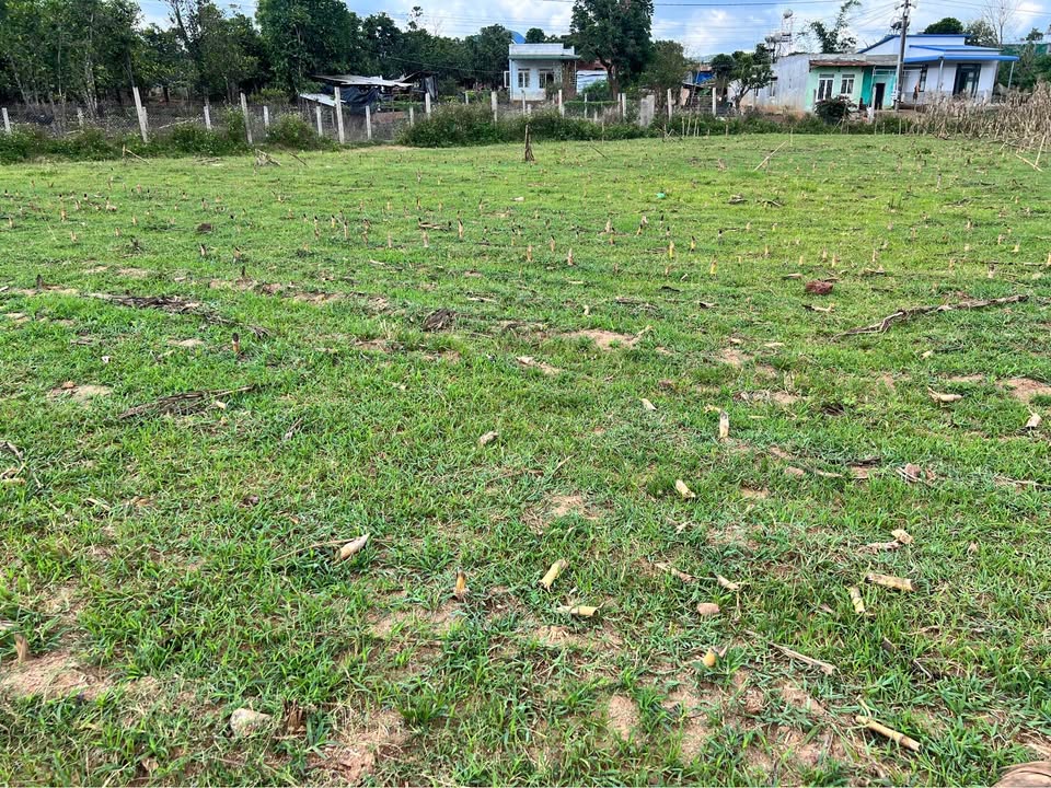 Đất thổ cư 72m² xã Đơn Dương giá chỉ 420 triệu - Cơ hội hiếm có!