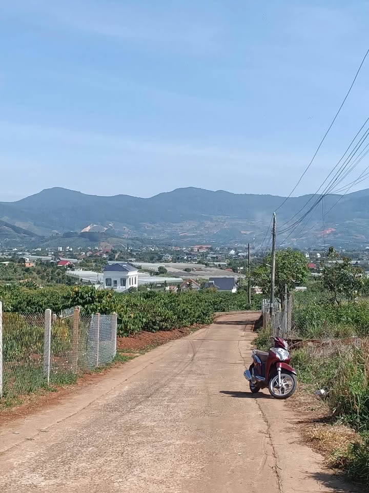 Đất nền Huyện Di Linh 195m² giá 750 triệu - Sổ đỏ chính chủ, xây dựng ngay!