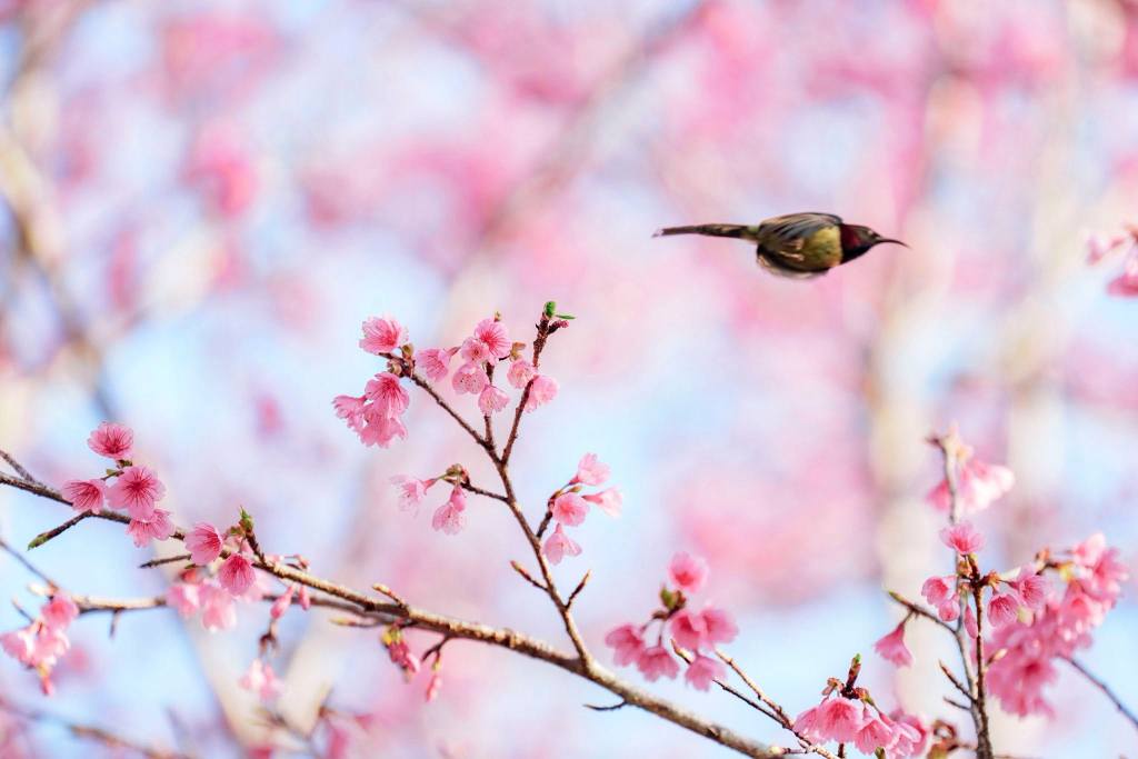 Nhà mặt tiền Quốc lộ 20, Đà Lạt 300m² giá 1.6 tỷ - Cơ hội đầu tư tuyệt vời!