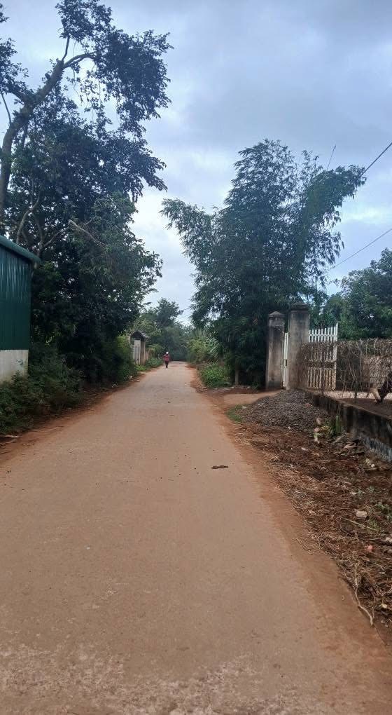 Đất nền Ea Yông 2700m² giá 1.2 tỷ - Vị trí vàng gần mọi tiện ích!