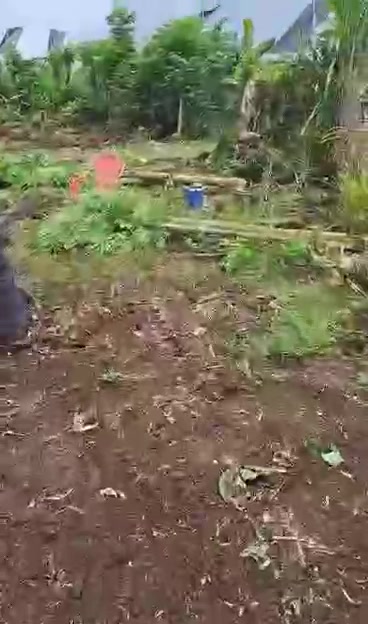 Đất nền xã Phú Tân, Huyện Định Quán, 17.853m² giá 2.7 tỷ - Cơ hội đầu tư hiếm có!