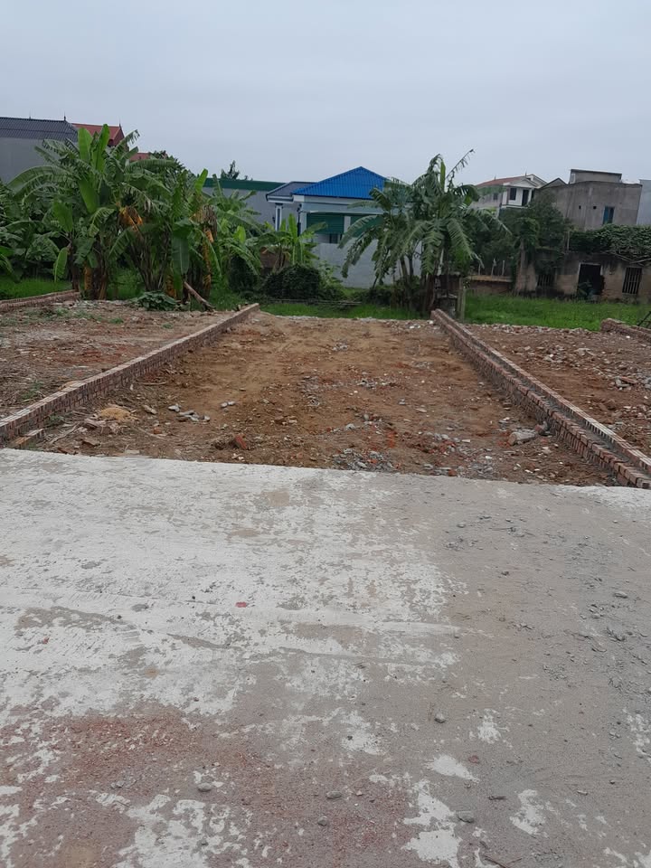 Đất Liễu Ngạn, Thuận Thành, Bắc Ninh 70m² giá nhỉnh 1xx tỷ - Tiềm năng tăng giá cao!