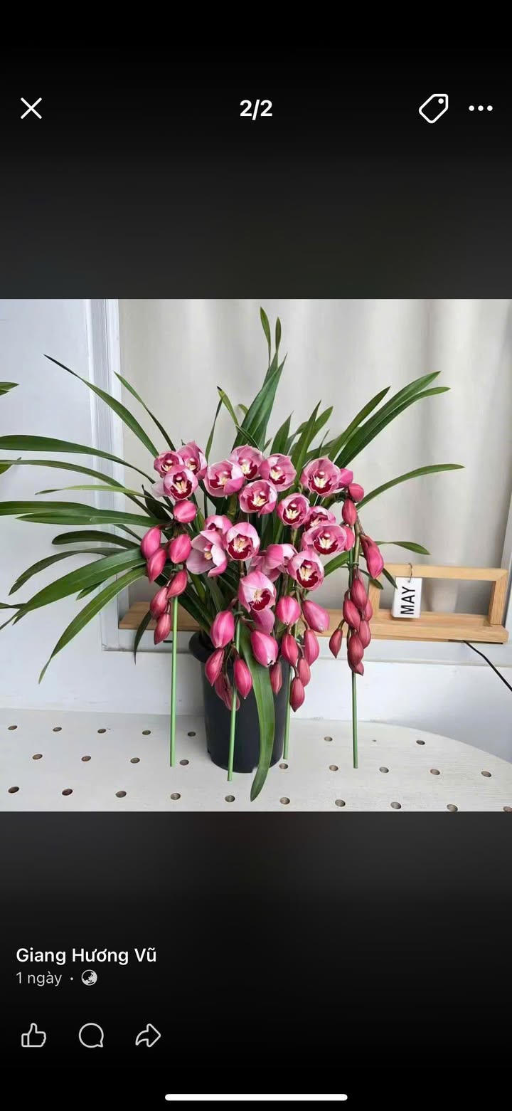 Đất công nghiệp Hưng Yên 5ha mặt tiền 261m Quốc lộ 39 - Tiềm năng đầu tư lớn!