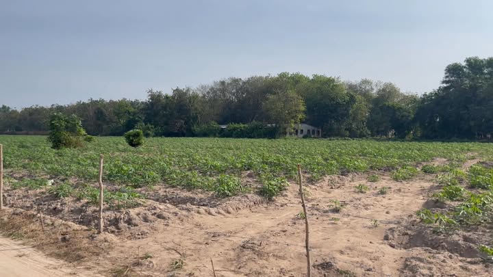 Đất thổ cư 2340m² gần KCN Bàu Bàng giá 6 tỷ - Cơ hội đầu tư tuyệt vời!