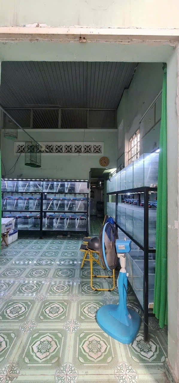 Nhà 2 tầng Bình Chiểu, Thủ Đức 37m² giá 2.5 tỷ - Tiềm năng tăng giá cao!